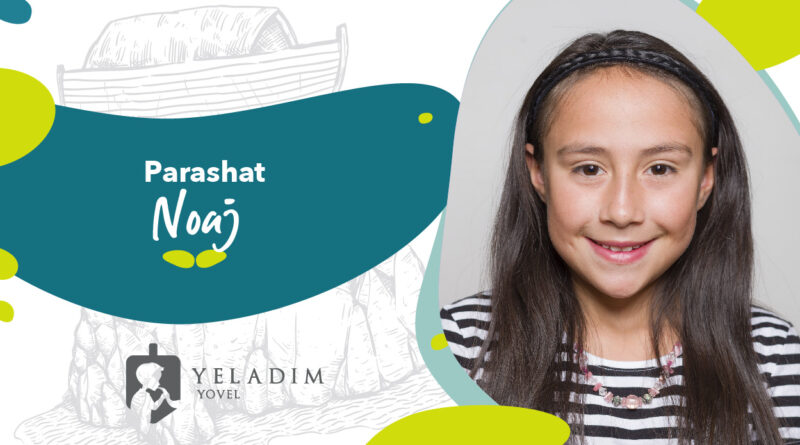 Parashat Noaj Yeladim Yovel