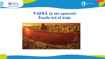 Parashat Vaerá – Kehilat Yovel